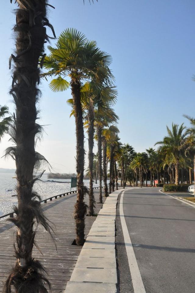 湖北嘉鱼蜜泉湖养生谷，堪称武汉都市圈隐藏的天然氧吧！