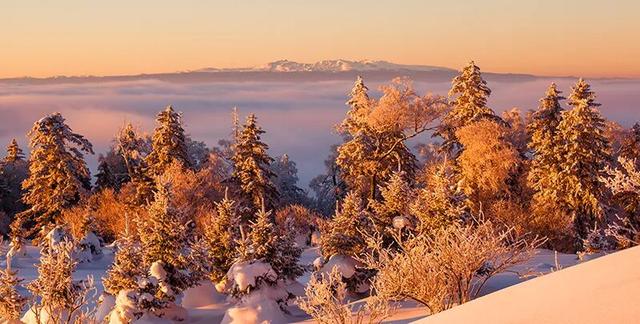 在朋友圈晒雪景？这次，晒点不一样的
