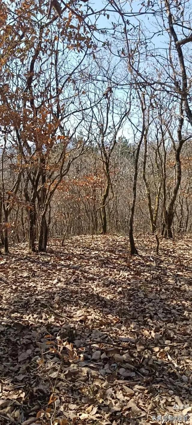 探秘楠溪江源头!这条海拔千米以上的草甸山脊只有极少数驴友知道