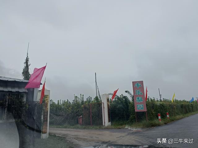 无为在歧路，国庆游淄博5