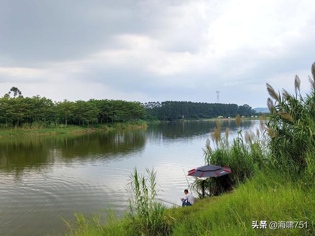 南海金沙岛国家湿地公园