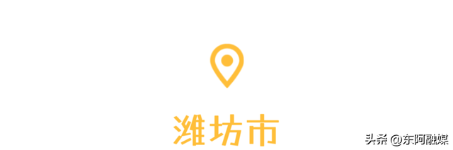 山东的第一波蜡梅开啦！快来邂逅这份冬日限定的浪漫