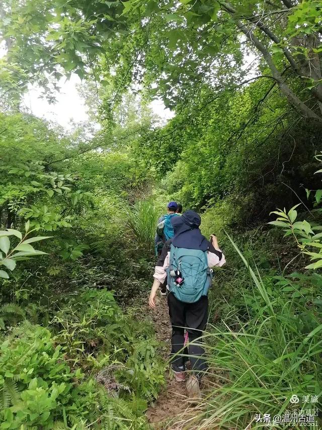 秋高气爽，温州这座奇石林立、风光奇绝的道教名山等你走起！