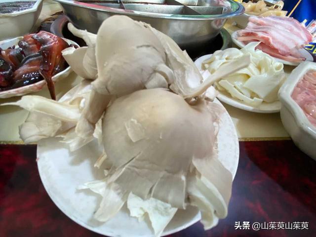 2023年春重庆探亲记（三）
