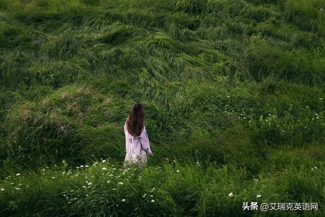 寻访欧洲最纯粹的野地：读者心中的隐秘角落