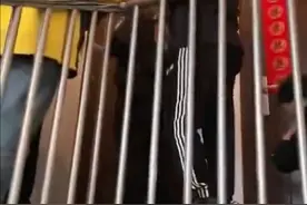 苏州3名小伙点外卖吃霸王餐，19块钱生活一个月，被抓时还飙脏话图片