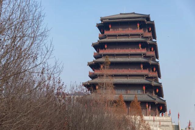 未央之秋，共赴一场金色约会