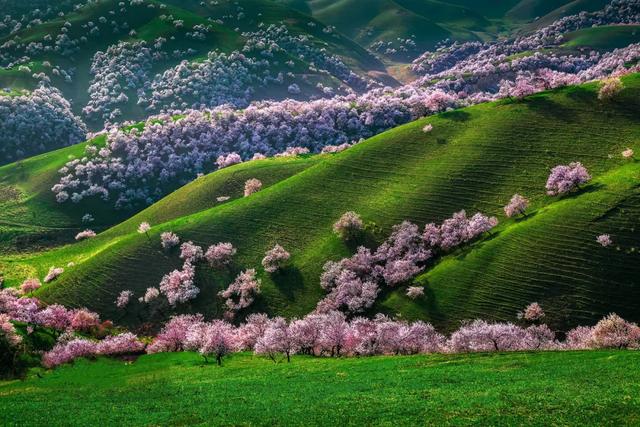 草原花海,塞外江南——超全新疆伊犁旅游攻略