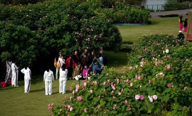 滴！赏秋“快递员”小园，持续为您派件→