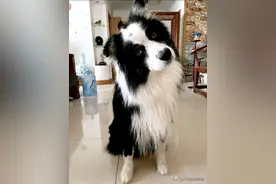 回门宴竟然如此精彩，简直就是另一场婚礼图片