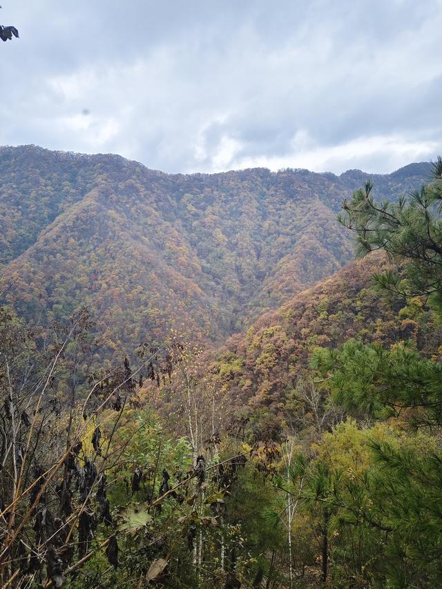 南行漫记：329公里的穿越之路，带你一起看红叶