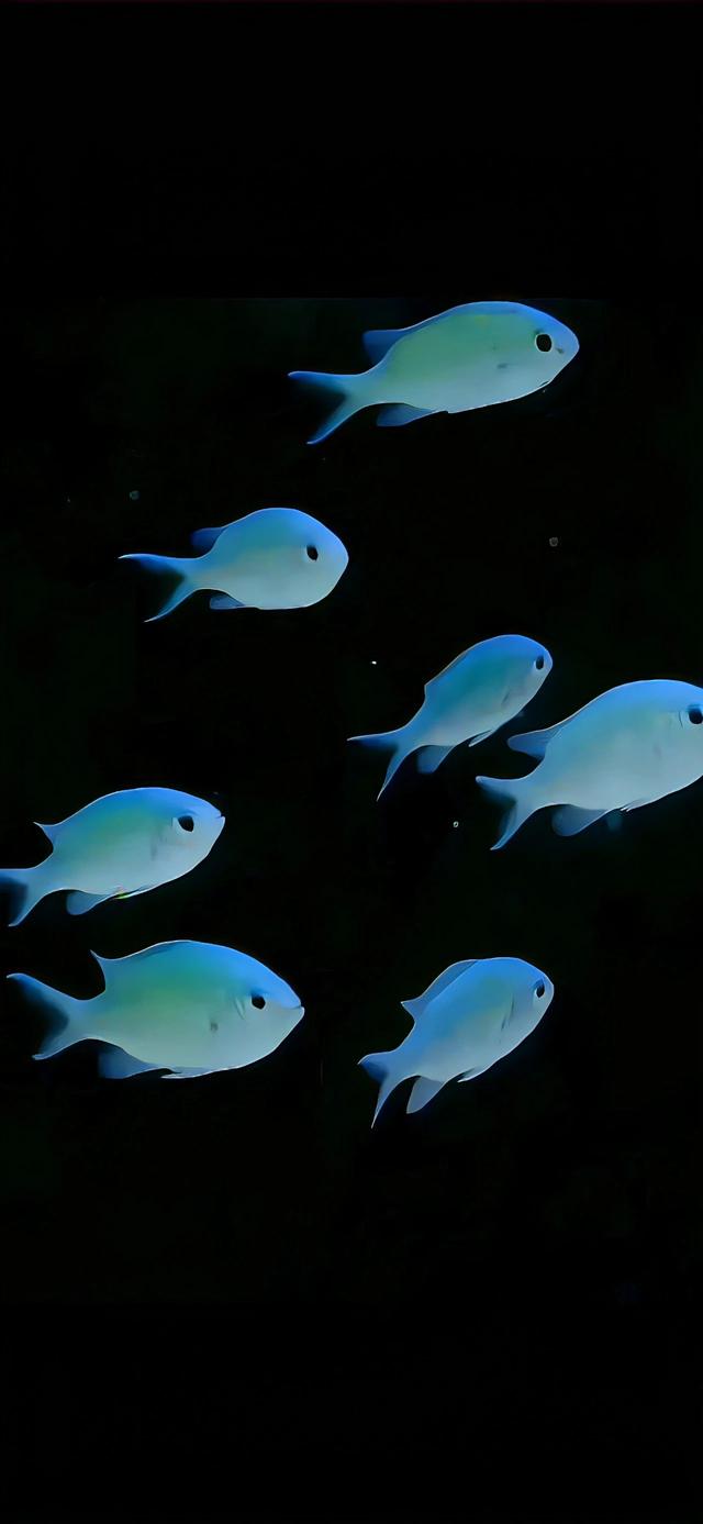 一些用过舍不得删的壁纸