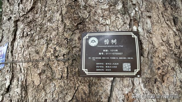 大美桐洲岛，富春江上的绿野仙踪，解锁水陆空撒野新玩法