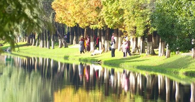 小众秘境！昆明版“塞纳河畔”，水杉红透半边天