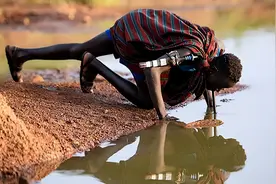 脚踩不烂刀砍不死，最长达1米的铁线虫，如何进入人体致病的？图片