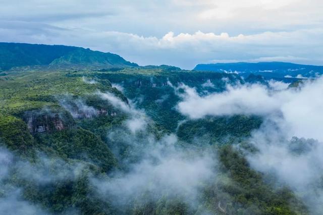 韶关晚秋“神仙景致”：云海、奇峰、秋叶奏响绝美“三重奏”！