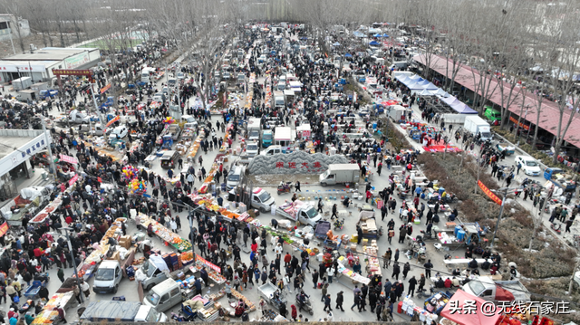 坐上公交赶大集！这份石家庄三大集市全攻略请收好！