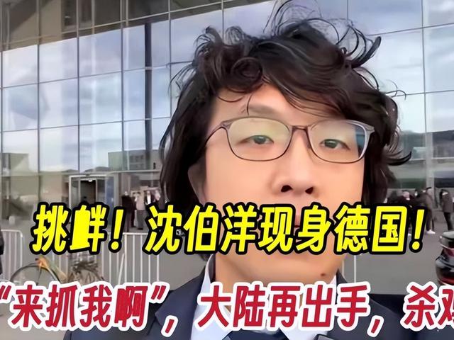 中德是该好好谈谈	，德国为沈伯洋打开大门后，中方宣布德财长访华