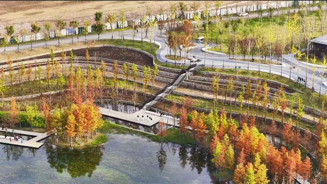 冬日，淮南春申湖如诗如画，赶紧打卡走一波