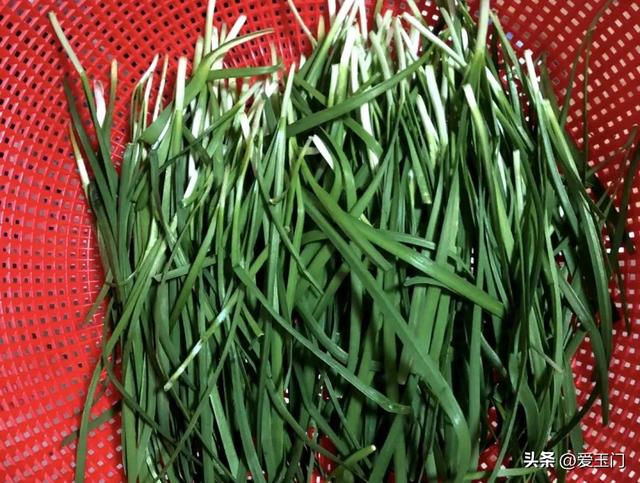 劝告:冬天,尽量不要买这5种蔬菜,看过就知道为什么!