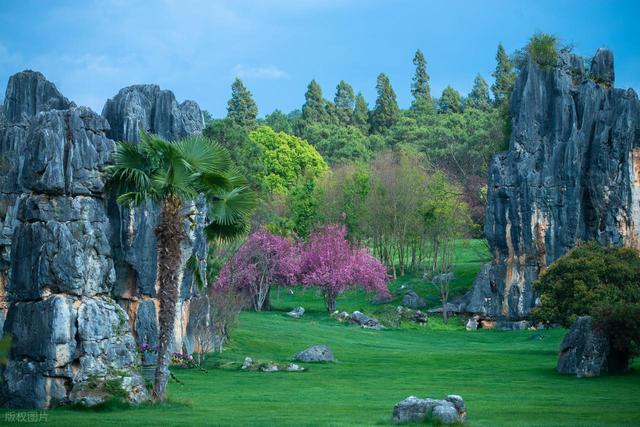 你所不知道的云南十八怪——石头长在云天外