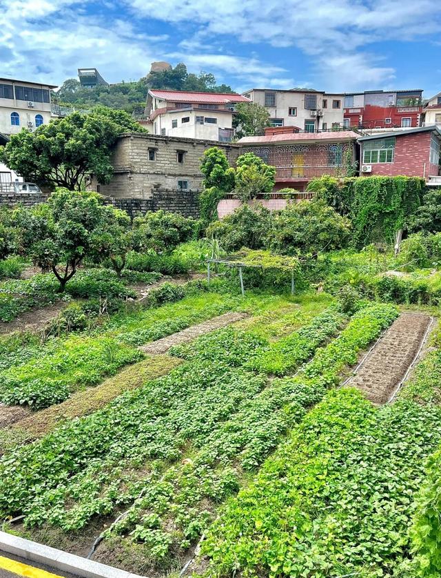 厦门东山社，城市中的宁静之地，厦门版世外桃源，藏于岛内深山中