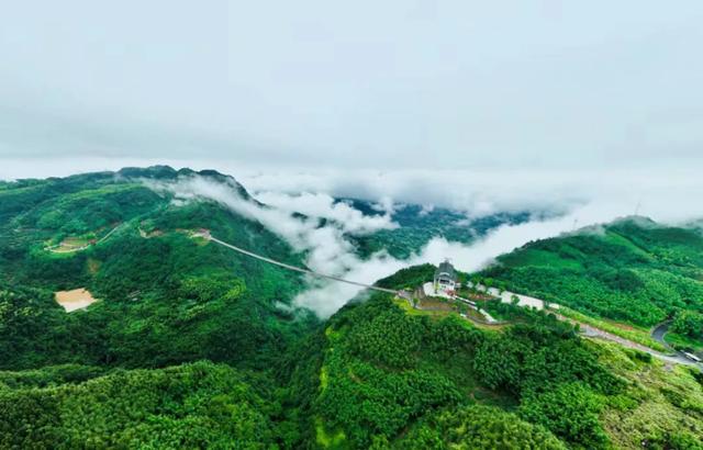 “醉幸福 最养生”——泸州4条健康旅游线路开启身心疗愈之旅