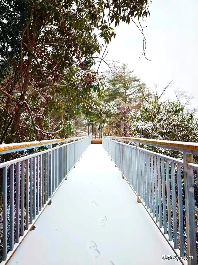 2025年草川子第一场初雪来啦！