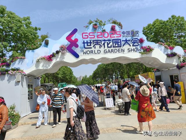 武汉十二月——一月一帧藏走过2025的四季光影