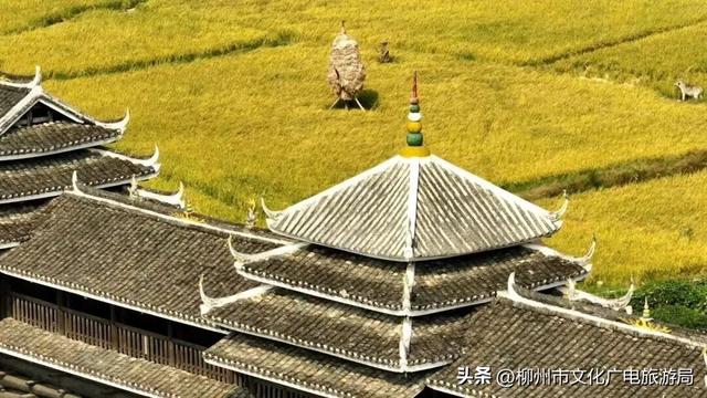 你没眼花！现在给你的是《2026放假安排（柳州版）》！速转存了解！