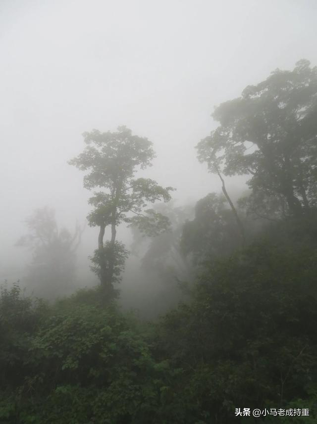 绵阳千佛山爬山笔记