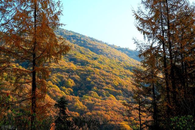10月下旬-11月中旬，适合去的8个赏秋宝地，彩林繁茂，秋色正盛