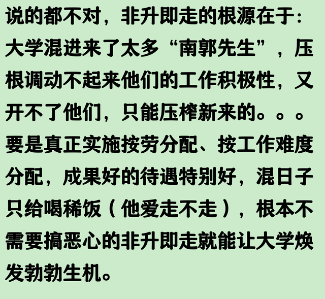 为什么只有大学教师搞非升即走？网友：太厉害，讲到本质上了