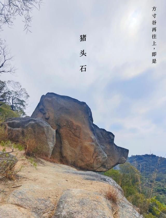 厦门金榜山方寸谷，一个网红打卡景点，巨石夹缝中的一个天然氧吧
