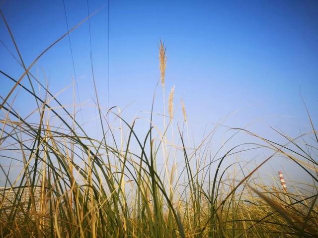 秋日限定美景，还不赶紧来拍？