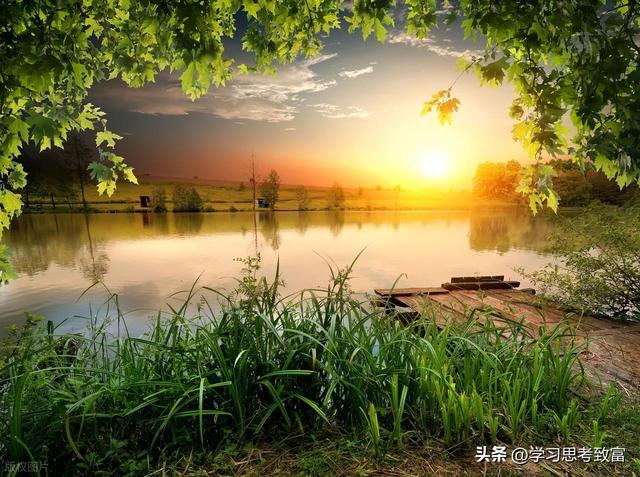3分钟热度到人生开挂：养成输出型爱好，是普通人最稳的增值方式