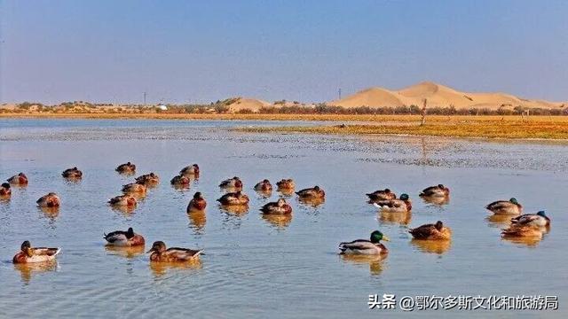 美到失语！秋天的七星湖，是上帝打翻的调色盘