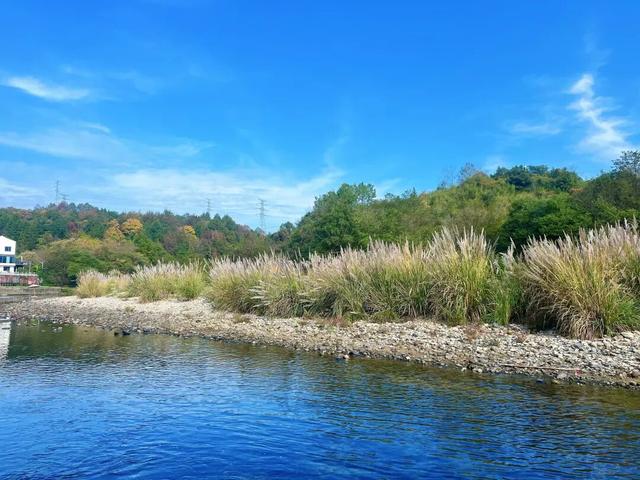 东黄山拾色记 | 皖美冬日 | 第十五届安徽国际文化旅游节
