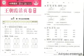 二年级语文 | 二上语文【王朝霞活页卷】单元卷+期末卷，完整有答案图片