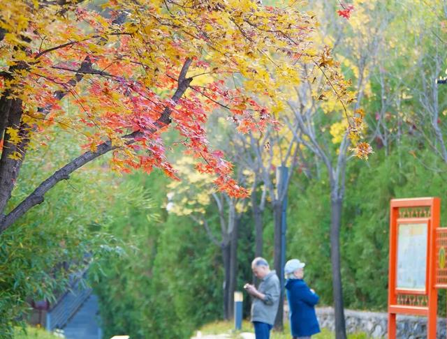 在顺义这些宝藏公园邂逅斑斓秋景——