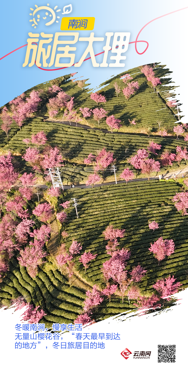 旅居大理，不止“风花雪月”