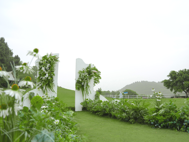 金堂这里“下雪”了！