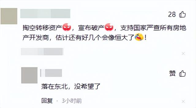 又一房地产巨头暴雷！负债1881亿，资不抵债被逼退市，董事长被抓