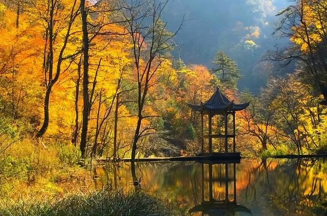 赏秋正当时！自驾来汉中，赴一场秋日视觉盛宴~