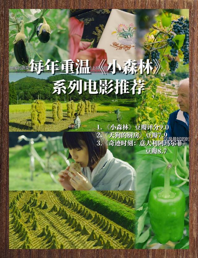 逛吃千年浅草寺，偶遇云端后的富士山，珍惜你的每一次旅行吧