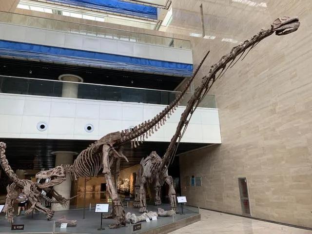 一个村办博物馆,为何能吸引各地游客前去参观?