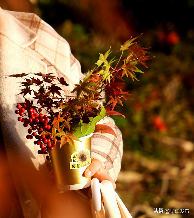 周末去打卡丨来吴江，“捡秋”！
