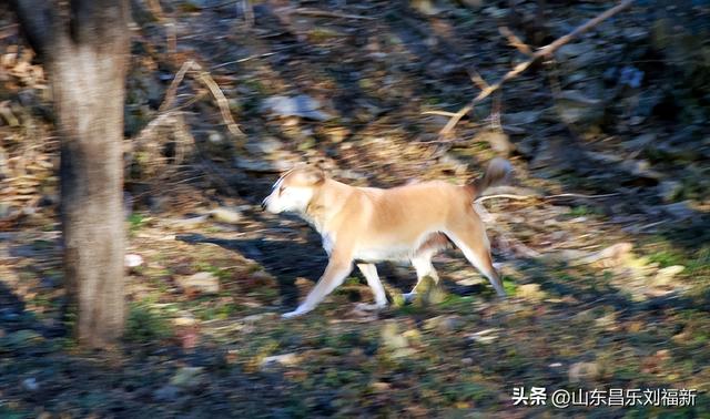 小区1号楼停电·徒步下楼·逛一圈的趣事