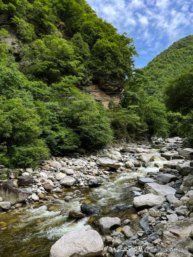 西安40℃+?别硬扛了!赶紧往黑河“跑”!