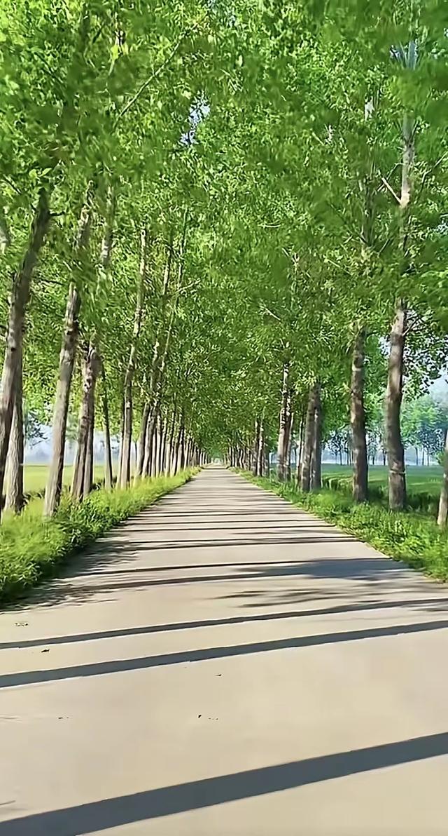 缁胯壊鎶ょ溂澹佺焊缇庡浘